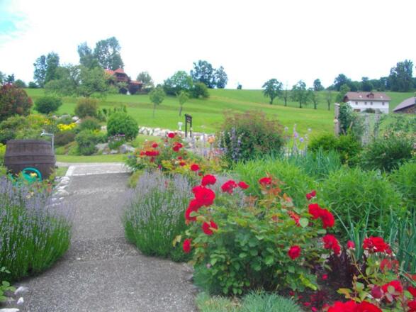 Steingarten mit Haus und Terrasse, Sommer