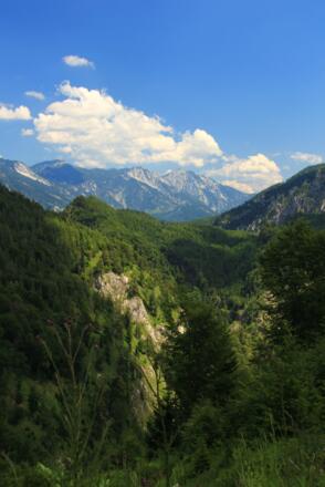 Blick ins Höllengebirge