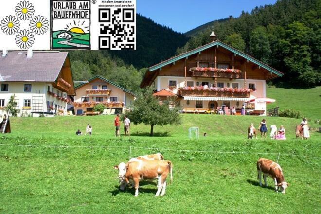 Wilkommensseite Winter