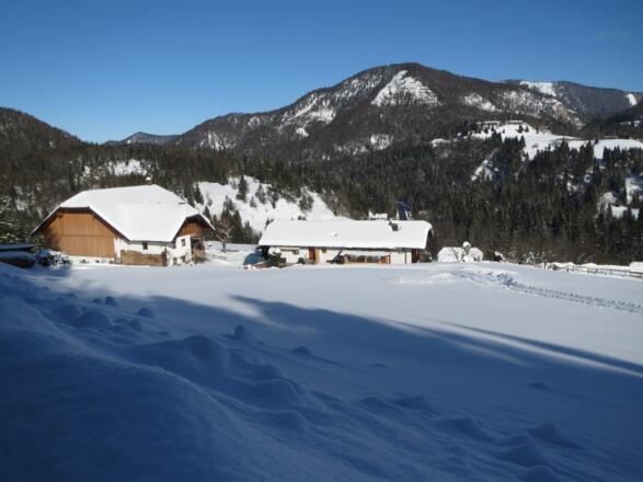Blick zum Ochsenberg