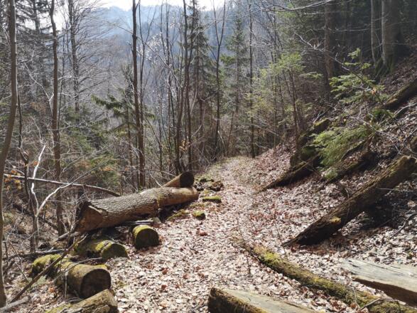 Bahnhof Trattenbach - Schoberstein - Grünburger Hütte