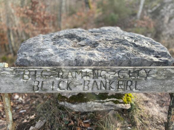 Hieslberg-Rotstein Trail - Großraming