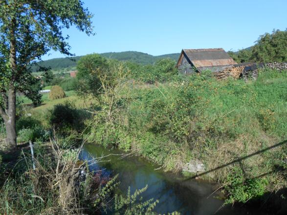 Werbach im Lieblichen Taubertal