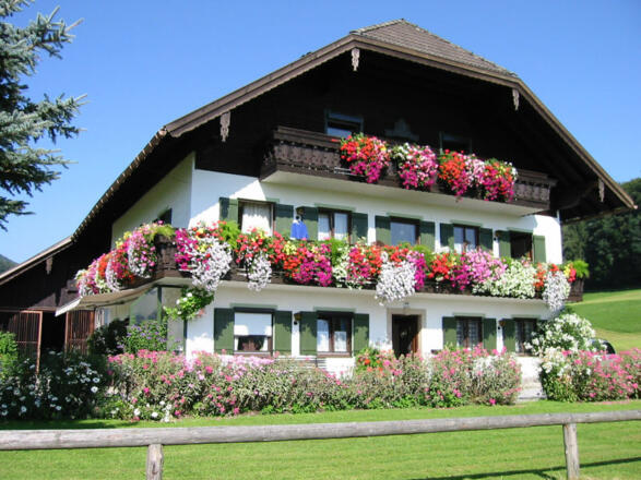 Schneeparadies am Fuschlsee