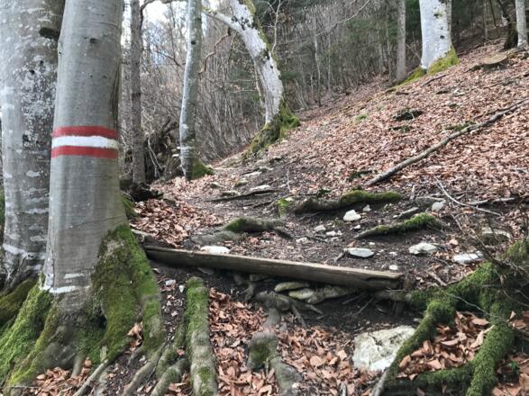 Rotstein-Trail - Großraming