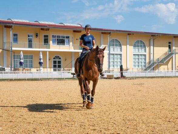 Pferdezentrum Stadl-Paura Reitplatz
