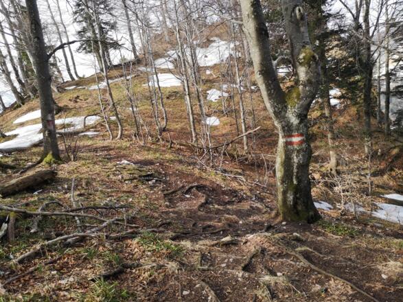Bahnhof Trattenbach - Schoberstein - Grünburger Hütte