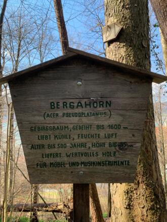 Walderlebnispfad Lärchenwald Tegernsee