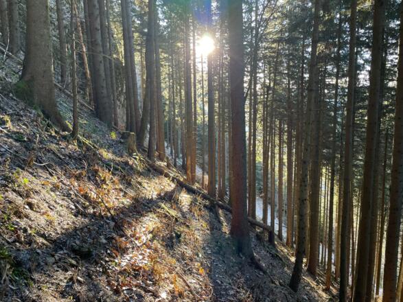 Habichler-Trail Reichraming