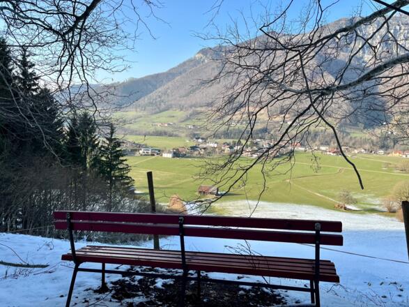 Steinköpfl-Treil - Molln