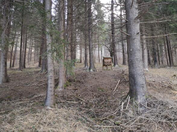 Rinnende Mauer Trail - Molln (lang)