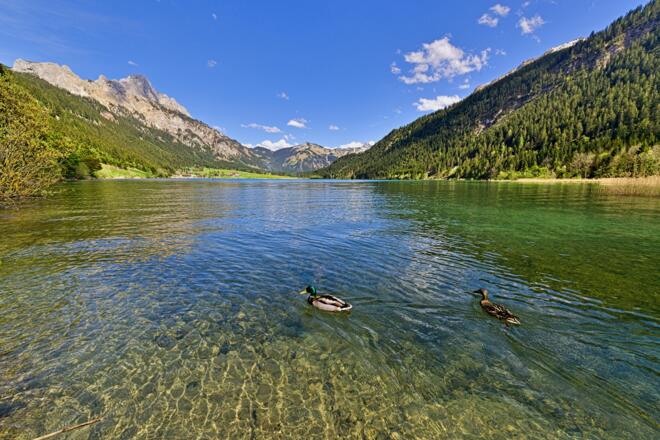 Haldensee - Natur pur im 'schönsten Hochtal Europas'- Tannheimer Tal