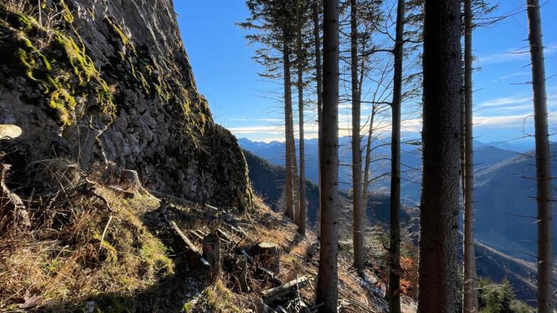 Habichler-Trail Reichraming