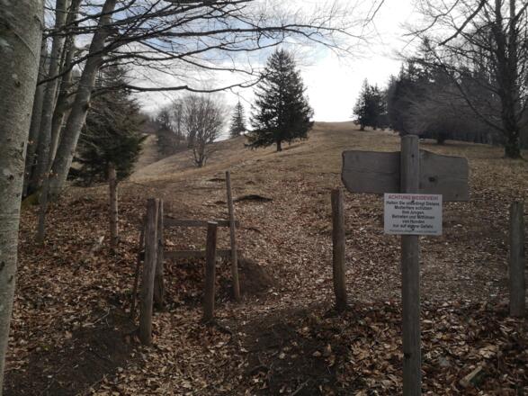 Rinnende Mauer Trail - Molln (lang)