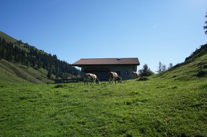 Ebersberger Alm