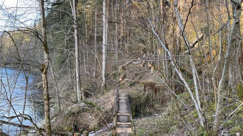 Rinnende Mauer Trail - Molln (kurz)