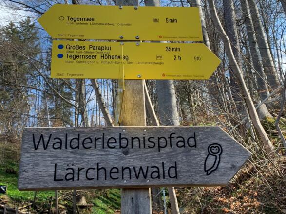 Walderlebnispfad Lärchenwald Tegernsee