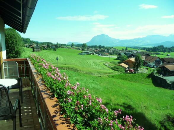 Aussicht Silberdistel