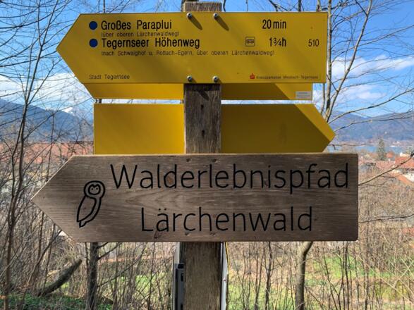 Walderlebnispfad Lärchenwald Tegernsee