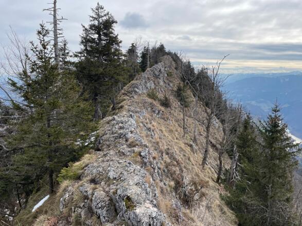 Reichraming - Schieferstein - Pfennigstein Trail