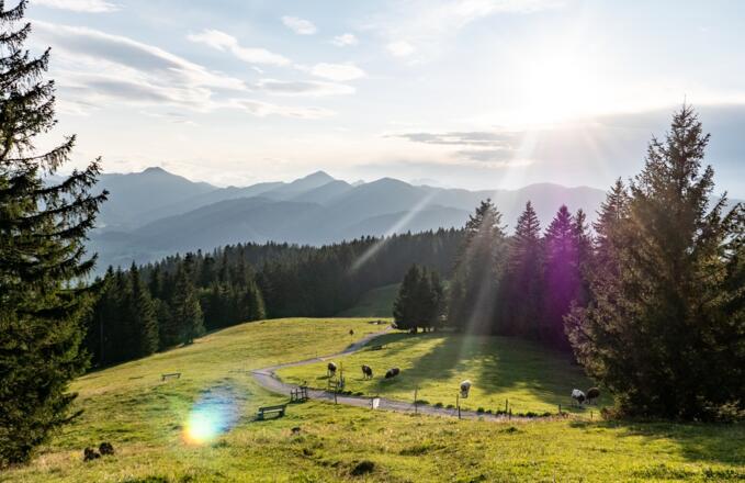 Neureuth Tegernsee