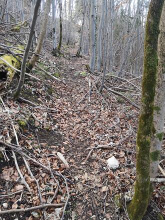 Rinnende Mauer Trail - Molln (lang)