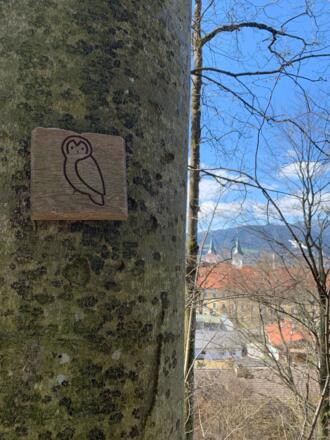 Walderlebnispfad Lärchenwald Tegernsee