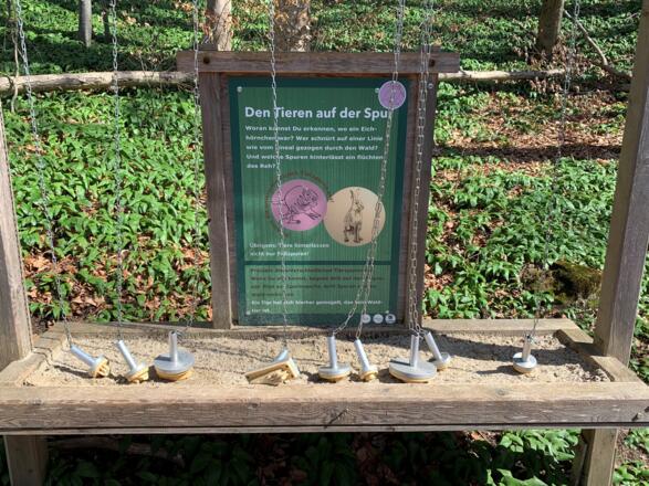 Walderlebnispfad Lärchenwald Tegernsee