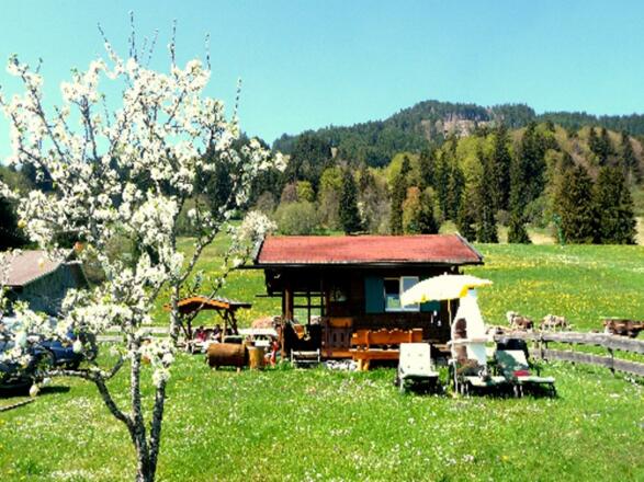 Gartenhaus mit Grill
