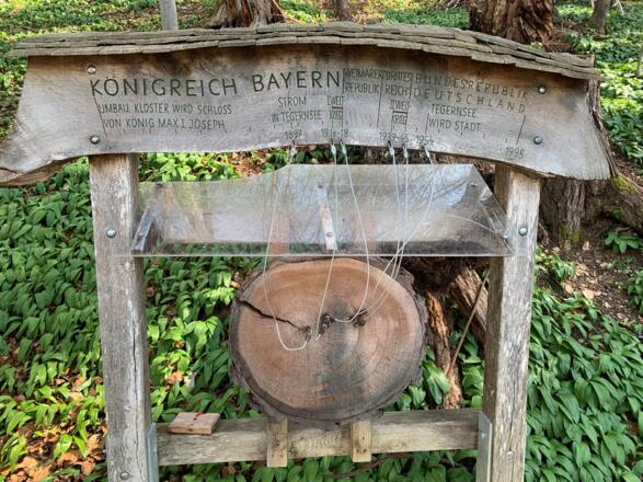 Walderlebnispfad Lärchenwald Tegernsee