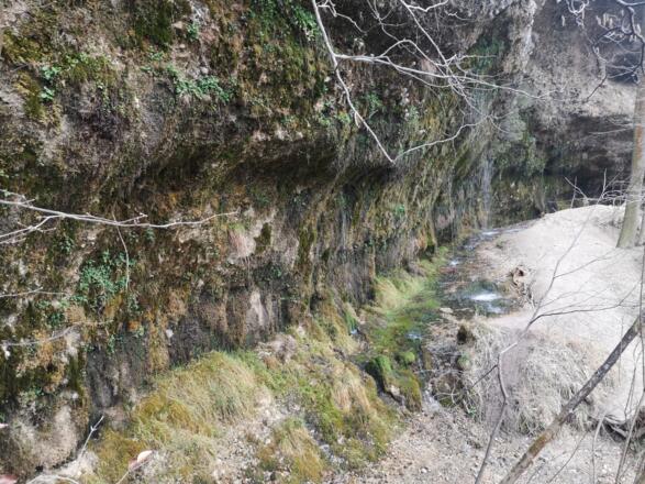 Rinnende Mauer Trail - Molln (lang)