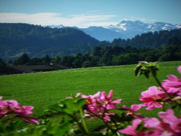 Aussicht in Richtung Oberstdorf