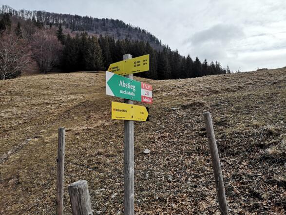 Rinnende Mauer Trail - Molln (lang)