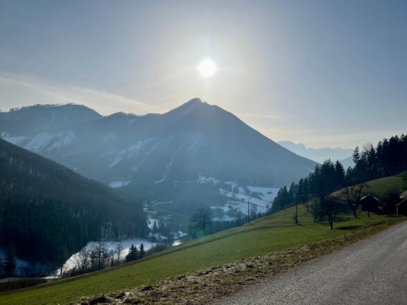 Steinköpfl-Treil - Molln