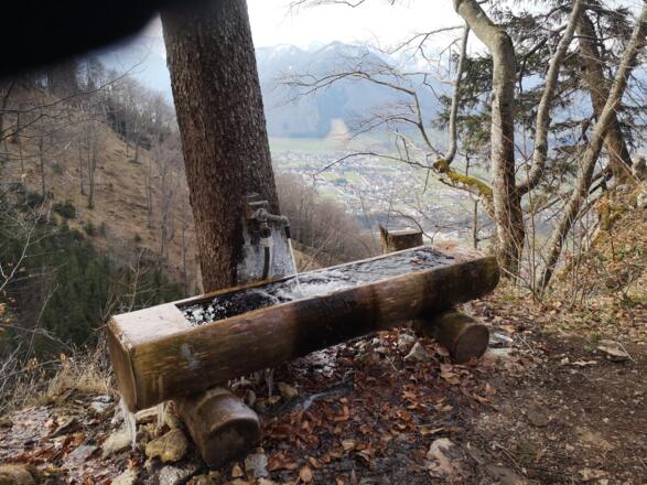 Rinnende Mauer Trail - Molln (lang)