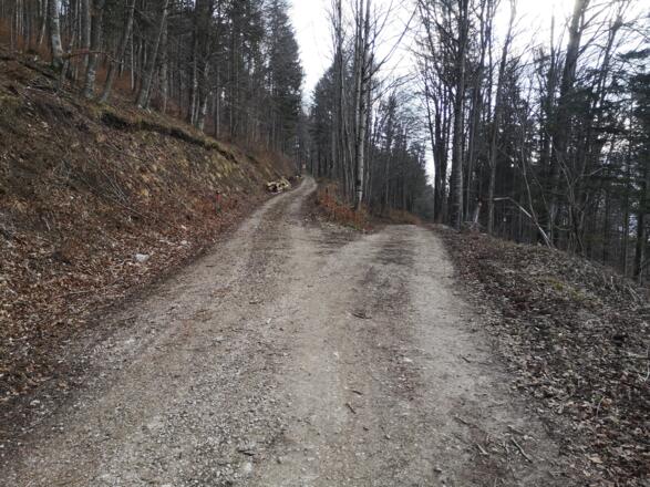 Rinnende Mauer Trail - Molln (lang)