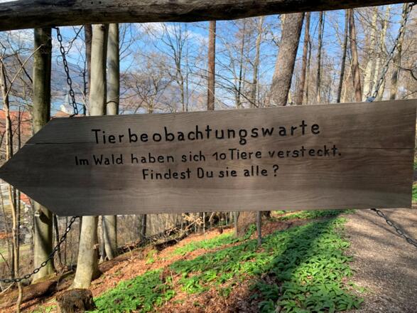 Walderlebnispfad Lärchenwald Tegernsee