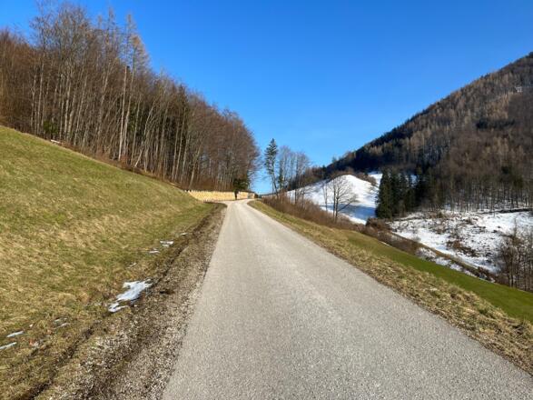 Steinköpfl-Treil - Molln