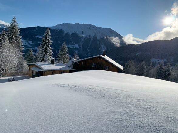 21ca131a-56ea-493c-b658-270f38b9be05