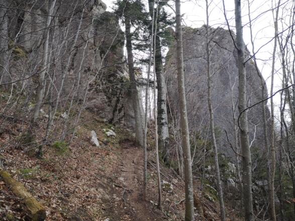 Rinnende Mauer Trail - Molln (lang)