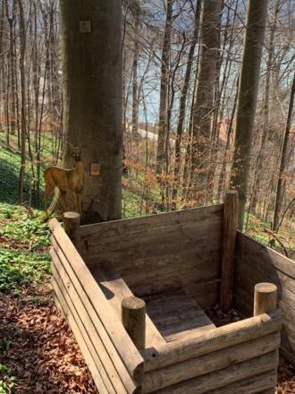 Walderlebnispfad Lärchenwald Tegernsee