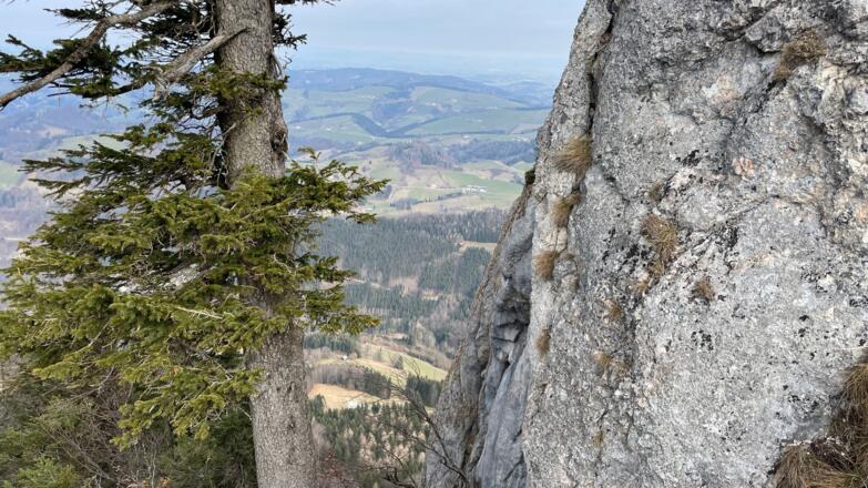 Reichraming - Schieferstein - Pfennigstein Trail