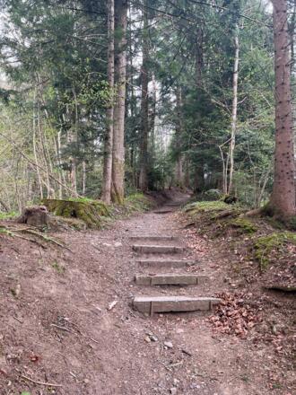 Waldweg Kalvarienberg Oberstaufen