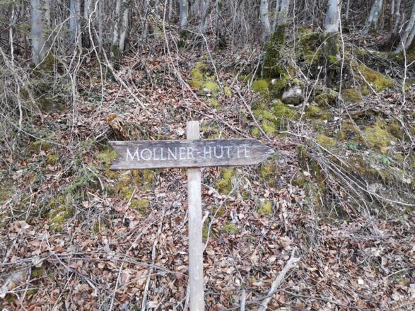 Rinnende Mauer Trail - Molln (lang)