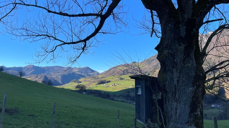 Habichler-Trail Reichraming