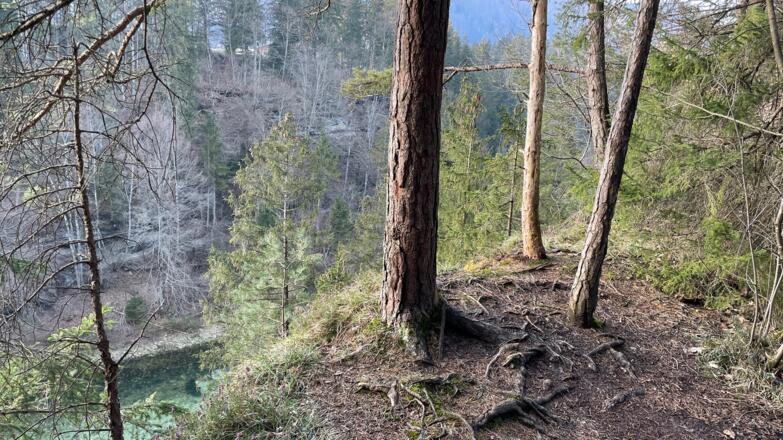 Rinnende Mauer Trail - Molln (kurz)