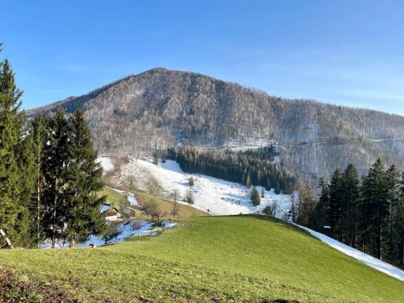 Steinköpfl-Trail - Molln