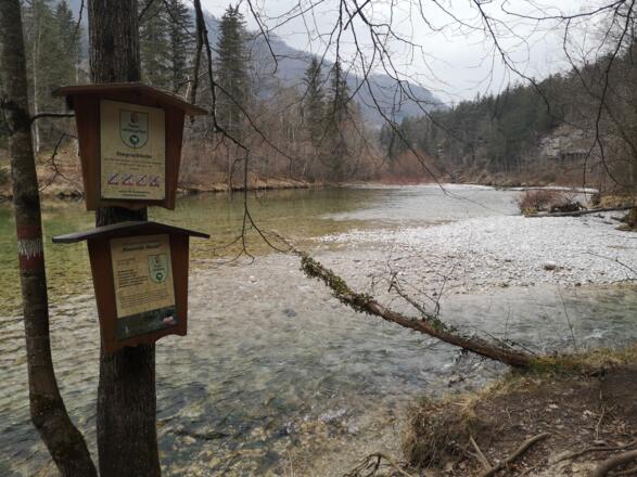 Rinnende Mauer Trail - Molln (lang)