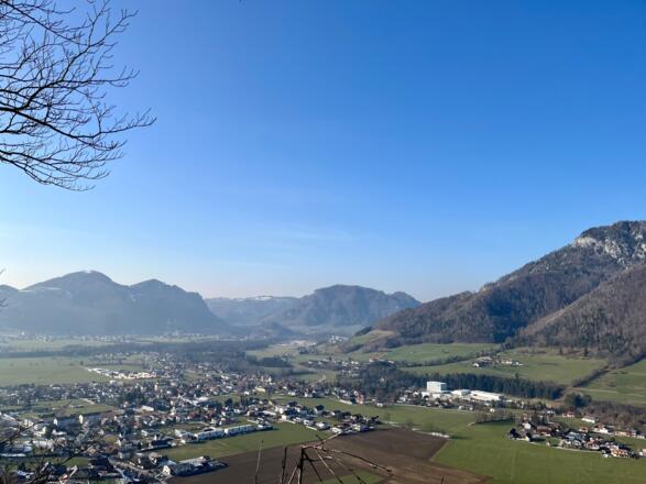 Steinköpfl-Trail - Molln