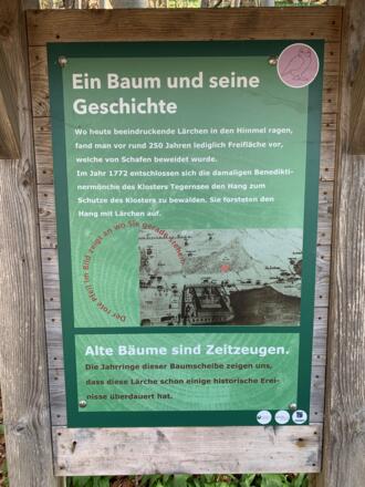 Walderlebnispfad Lärchenwald Tegernsee